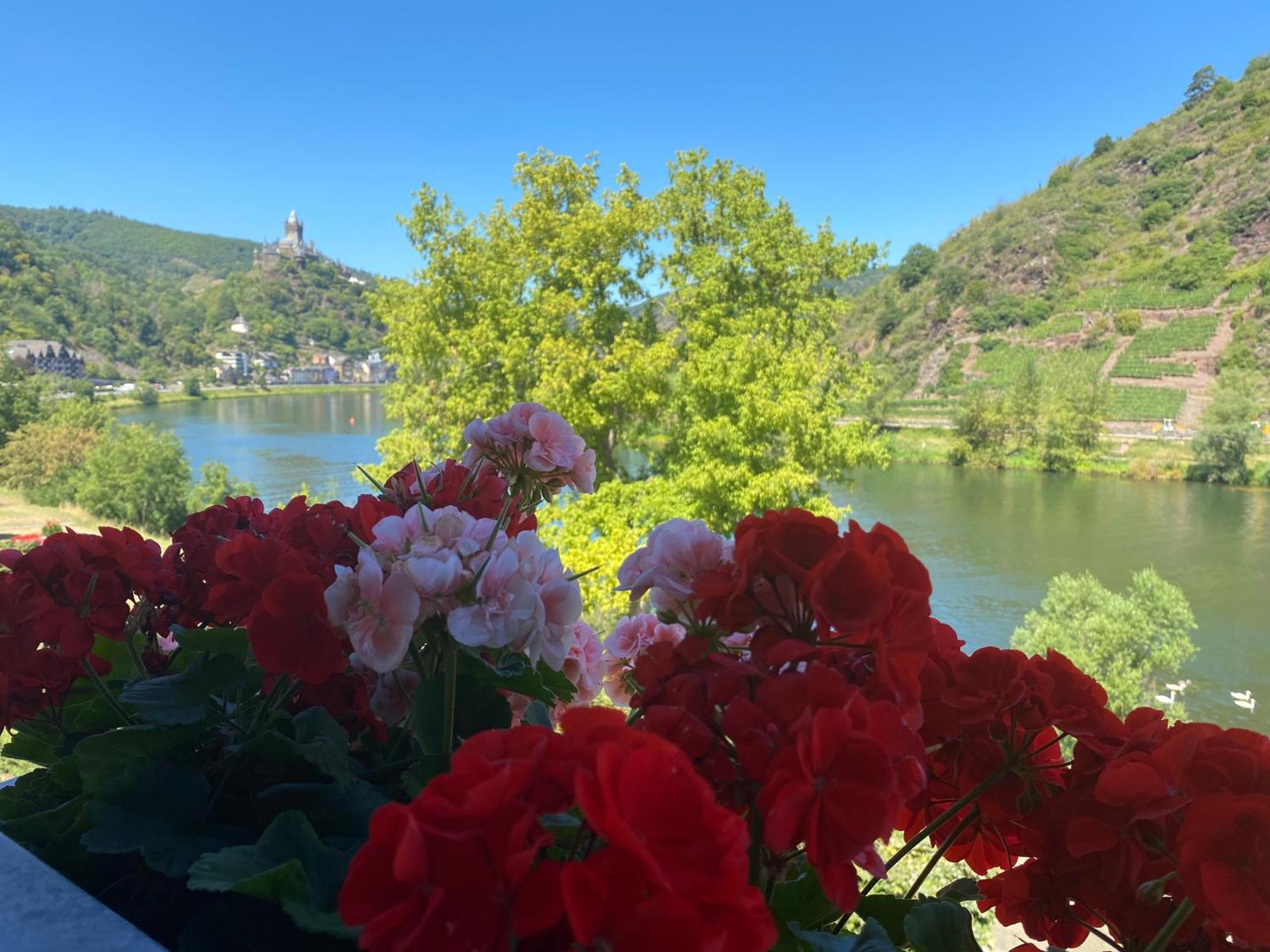 Hotel Altes Winzerhaus Cochem Cameră foto